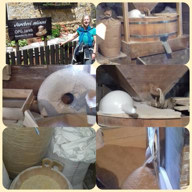 Pripreme za Uzgoj domaćih životinja - 2 razred