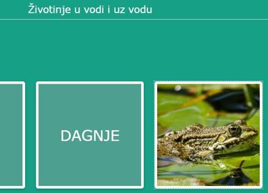 Životinje u vodi i uz vodu - memori