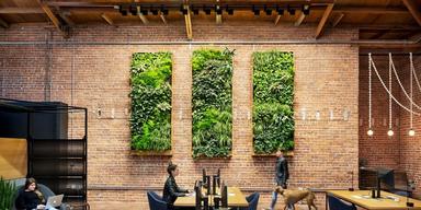 Scenarij poučavanja - Radno mjesto iz snova