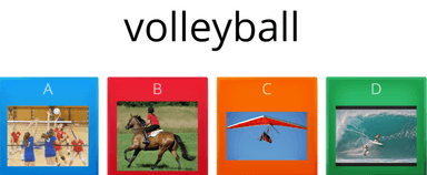 SPORTS VOCABULARY