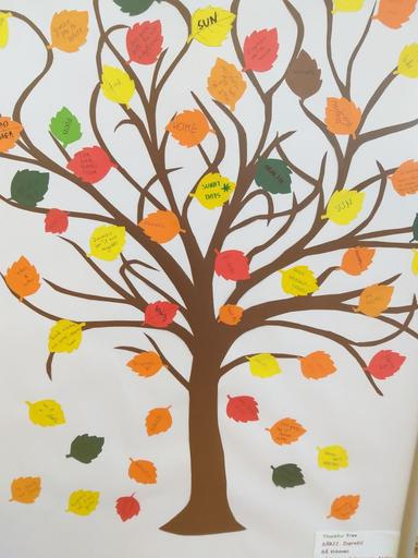 Koliko i na čemu smo zahvalni