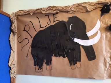 Projektni dan na temu "Bioraznolikost": Radionica "Istarske spilje" 