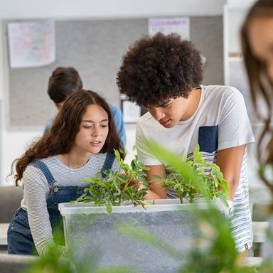 Promet- kviz za ponavljanje za 1. razred