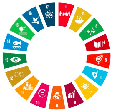 Sustainable Development Goals in SŠBJJ