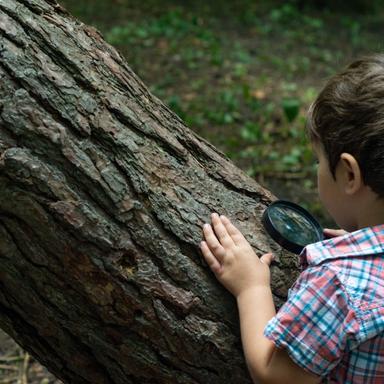 Nastavni listić iz prirode i društva za 1. razred_ Jesen
