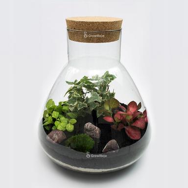 Pribor i materijal za izradu vrta u boci