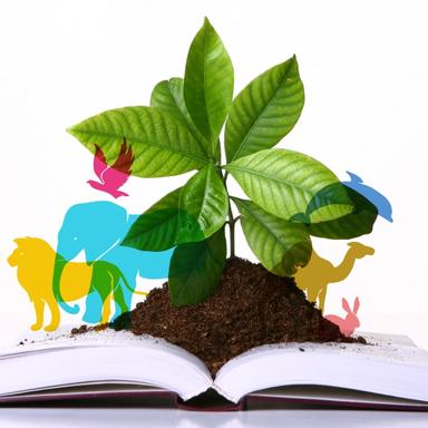 Radionica cijanotipije