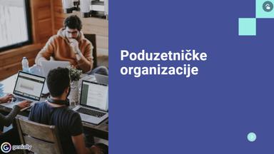 Poduzetničke organizacije