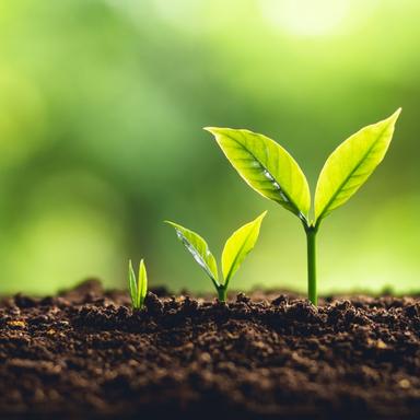 Izgubio se jedan zeleni pas (sat razrednika - različitosti)