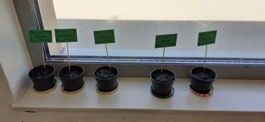 Čuvamo zdravlje i okoliš - integrirani dan u 1. razredu