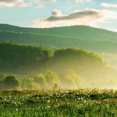Predavanje "Pčele i ekosustav"