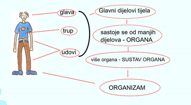 E knjiga Moje tijelo 