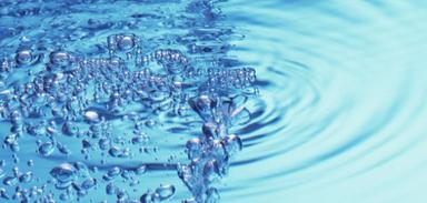 Vladimir Nazor, Voda (kviz)