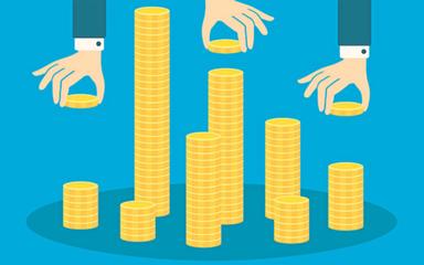 Tržište kapitala - Dionica