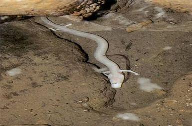 Priroda 6. Stanište i bioraznolikost 