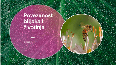 Povezanost biljaka i životinja