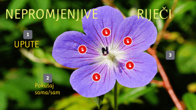 Genially - Nepromjenjive riječi, 5. razred