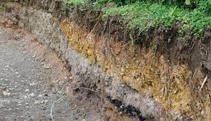 Priroda 5.razred 
Tlo - riznica prirodnog bogatstva