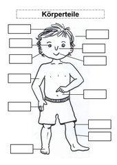 Njemački jezik - Körperteile