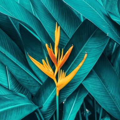 Ljeto- dopunjavanje rečenica