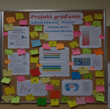 Građanski odgoj i obrazovanje - Projekt građanin