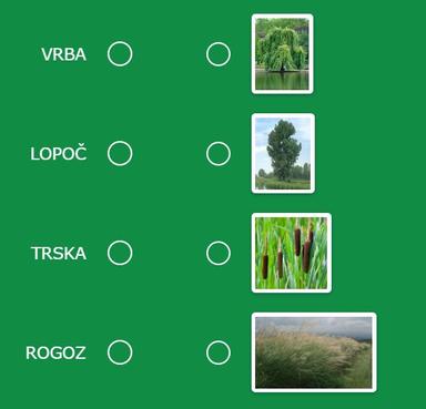 Kviz - Vode u zavičaju