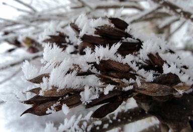 Digitalna provjera usvojenosti OOI iz termodinamike