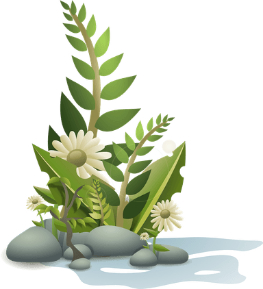 The world of plants - a CLIL lesson in English