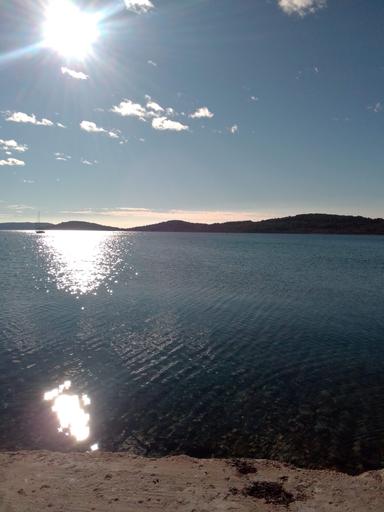 Sile i polja ( vrste)