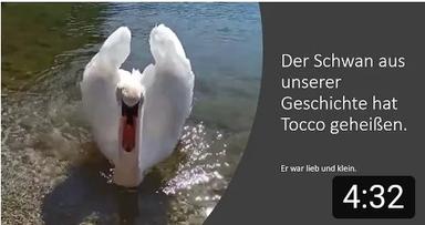 Tocco der Schwan