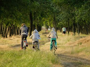 Tjelesno zdravlje - komponente tjelesnog zdravlja