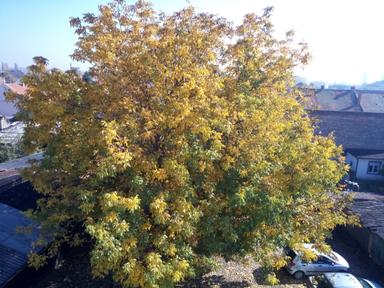 Unapređenje i zaštita mentalnog zdravlja