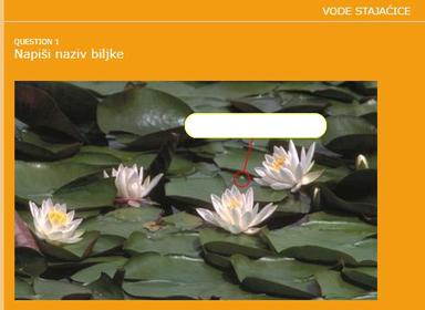 Kviz - Vode stajaćice