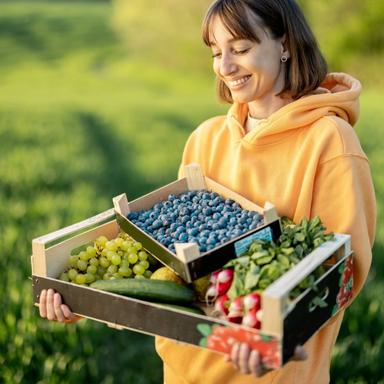 Vrtovi susreta 4 (školska godina 2024./2025.)