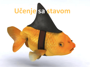 Distraktori i stilovi učenja