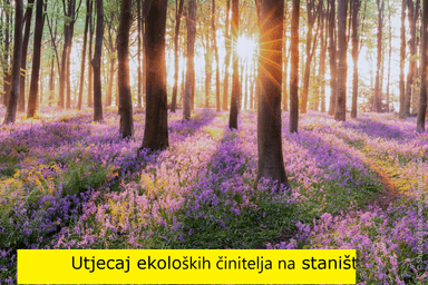 Ekologija šuma- Utjecaj ekoloških činitelja na stanište