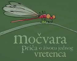 Priprema za nastavne sate obilježavanja Međunarodnog dana močvarnih staništva i stvaranje haiku pjesama