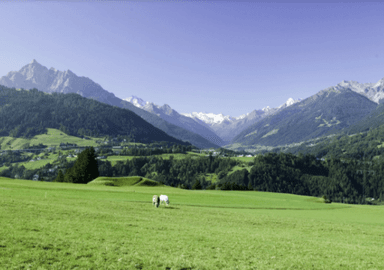 Francuski jezik Environnement-Kahoot