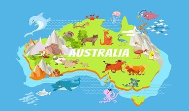 Čitanje s razumijevanjem neknjiževnog teksta