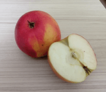 Razlomci - provjera usvojenosti u digitalnom alatu Bookwidgets