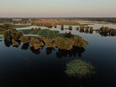 Utječu li deterdženti i gnojiva na rast algi u vodi?