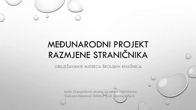 PowerPoint prezentacija - Međunarodni projekt razmjene straničnika i priprema za sat 