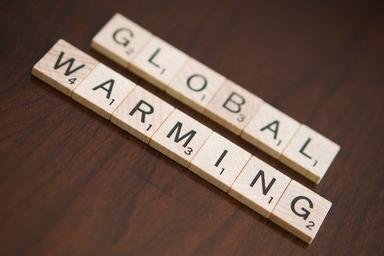 Global Issues Campaign Project