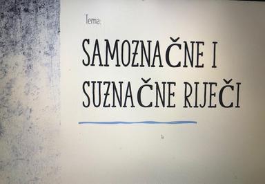 Samoznačne i suznače riječi