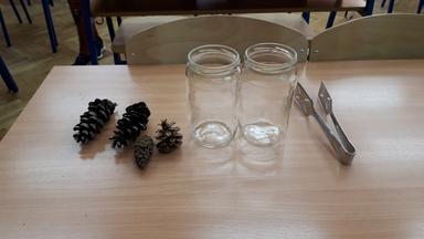 Što će se dogoditi s češerom u vodi?