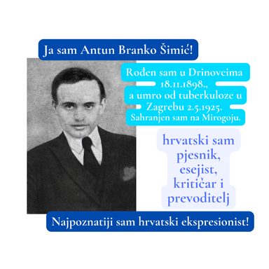 Antun Branko Šimić / digitalna knjiga 