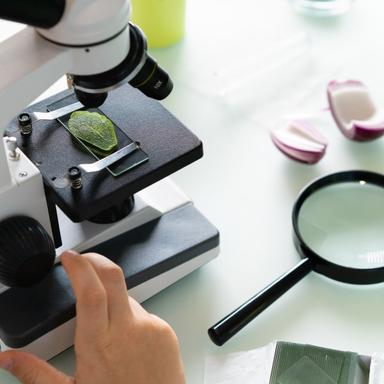 Sherlock Holmes u školi