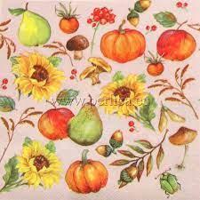 DOS Jesenski plodovi