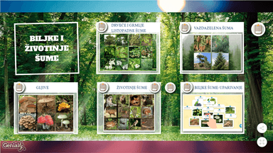 Biljke i životinje šume