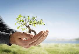 Rješenja radionice Osiguranje